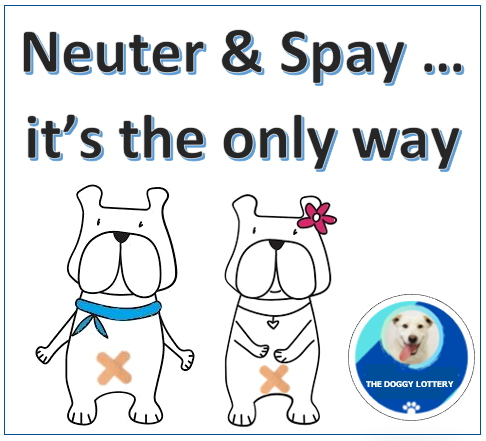 Spay
